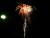 Silvestr 07 061